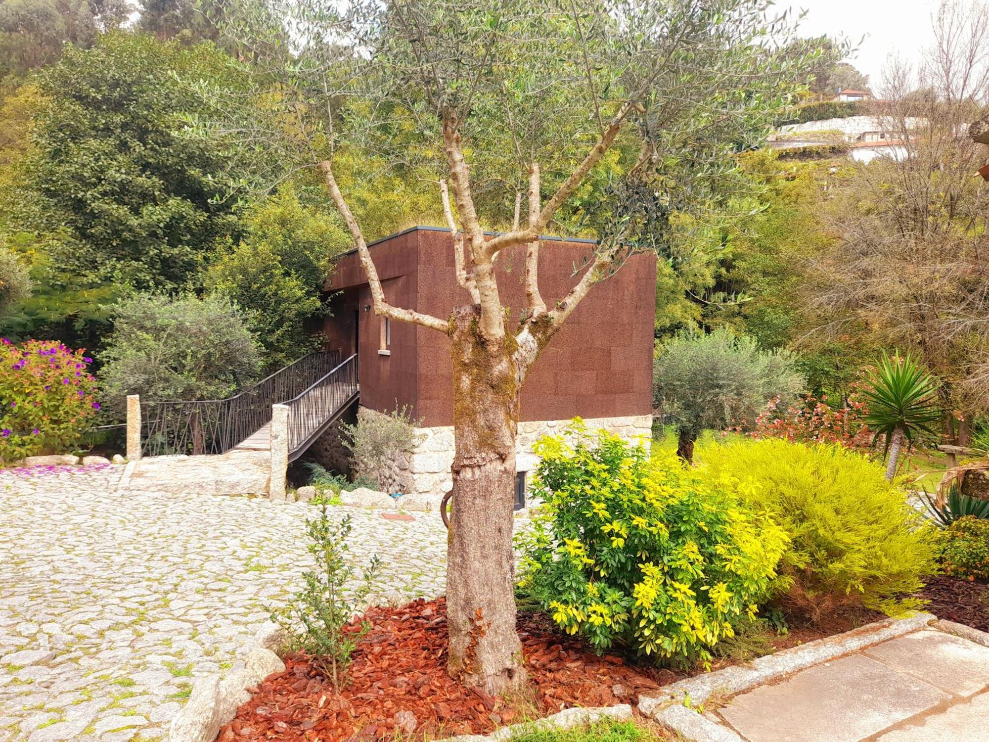Villa Moinhos Carvalhas Arcos de Valdevez Exterior foto