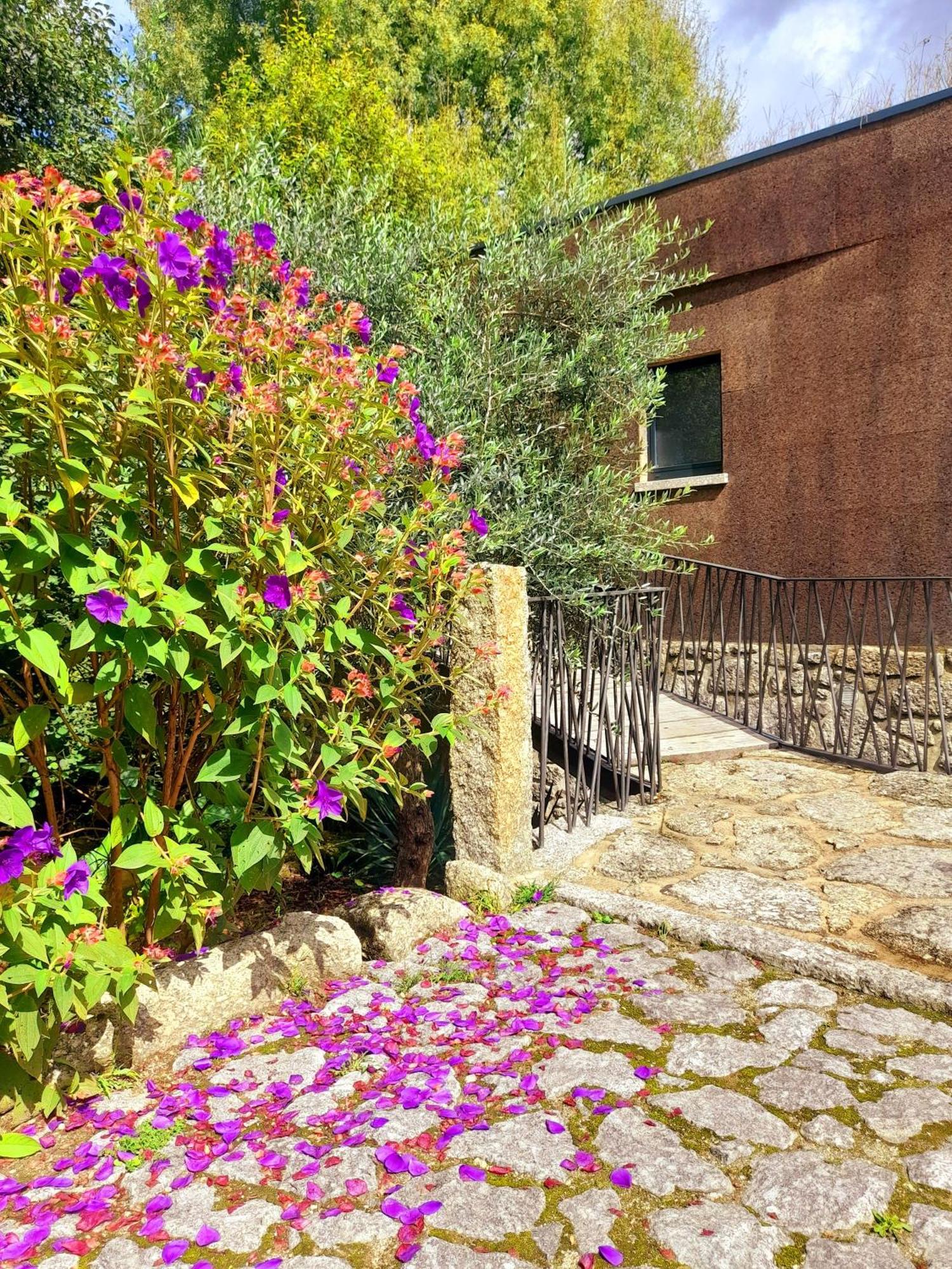 Villa Moinhos Carvalhas Arcos de Valdevez Exterior foto